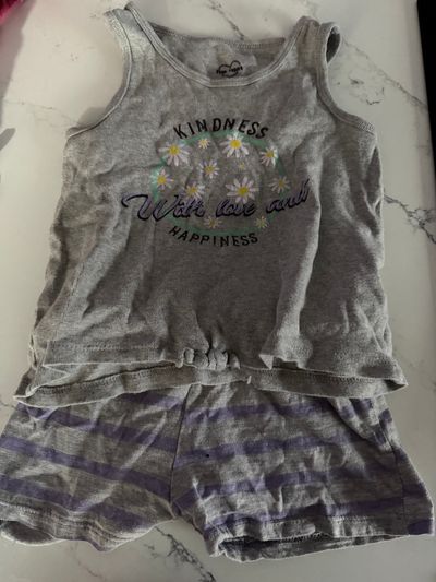 Pink velvet Grey shorts set 5T/5
