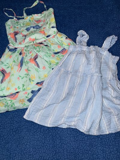Cat & Jack / Cherokee Lot of 2 summer dresses tropical bird and blue gauze 3T