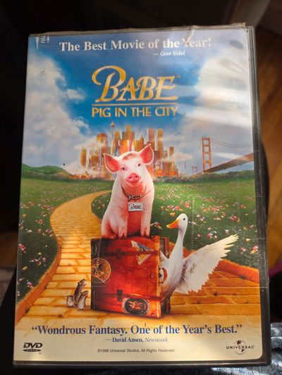 Baby Pig in the City