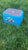 THOMAS THE TRAIN STEP STOOL