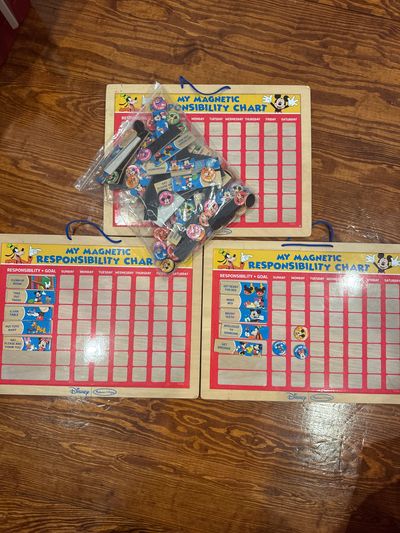 Melissa and Doug 3 Disney theme magentic responsibility charts