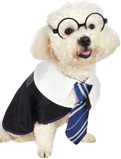 Na NEW Harry Potter dog costume in size S
