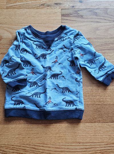 Little Me Like new sweatshirt feature different kinds of dinosaurs graphic 12 Months