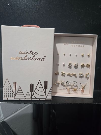 Winter wonderland earrings set NEw