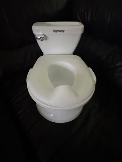Ingenuity Potty Chair w/ Realistic Flushing Sound- Like New
