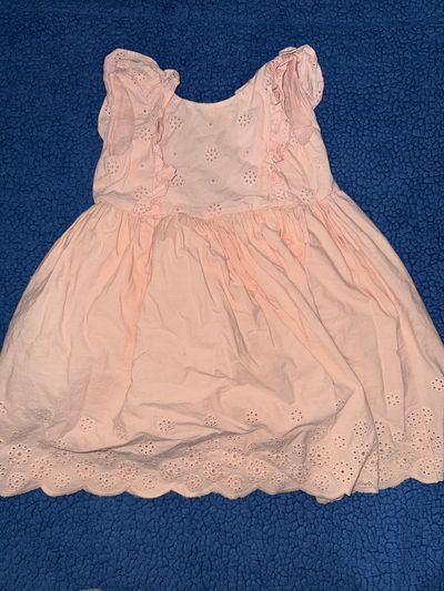 Blueberry Boulevard Peach ruffle sleeve dress with element flowers 3T