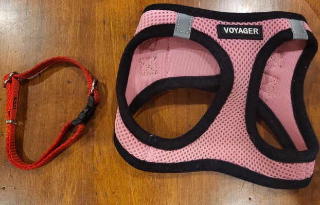 unknown SMALL Yorkie SIZE. Pink voyager harness and collar