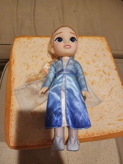 Disney Frozen 2 Elsa Adventure doll Disney Frozen 2 Elsa Adventure
