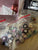 Multiple brands of dip powder and accessories Dip powder mega bundle - liquids, powders, swatches, drill bits!
