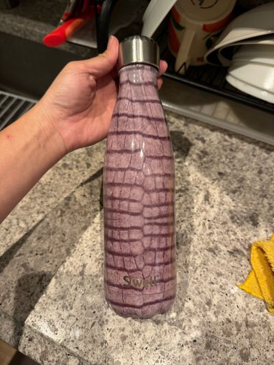 Swell Swell 17oz bottle