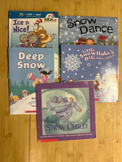 Set of 5 winter books