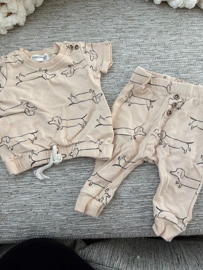 Rabbit and bear Dachshund dog two pc outfit 0-3 Months