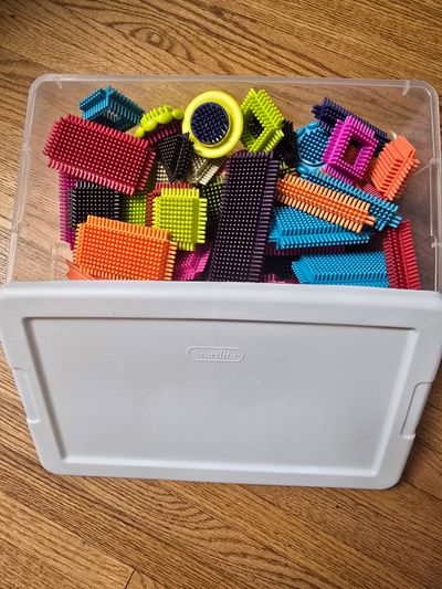 Bristle Shape Building Blocks with Sterilite box