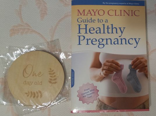 Mayo Clinic Guide To A Healthy Pregnancy With One Day Old milestone disc