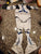 Rubie's Star Wars Clone Trooper costume for kids. Rubie's Star Wars Clone Trooper costume for kids. 5T/5