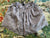 Gap kids medium skirt Lavender skirt with silver leaf print. SFPF home 7-8