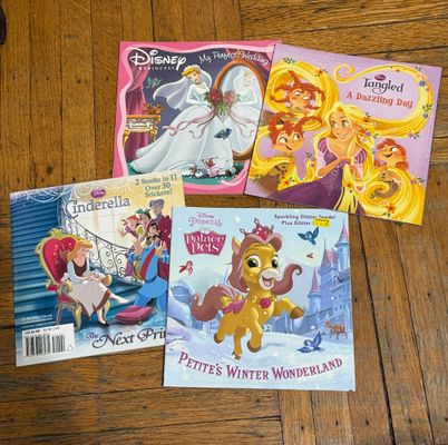 Disney Cinderella princess books lot