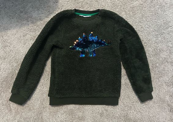 H & M Sparkly dinosaur on a green sweater. Tag says US 6 to 8Y 7-8