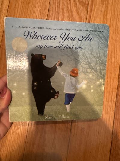 Nancy tillman wherever you are my love will find you board book