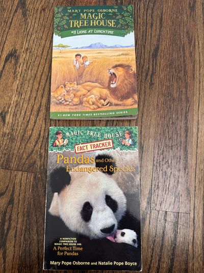 2 Magic tree house ch books