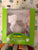 Modo llama Plaster paint dinosaur kit