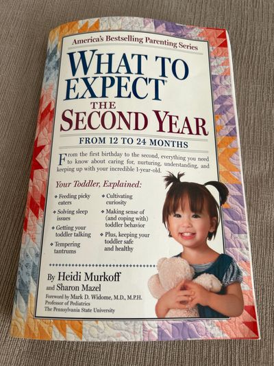 What to expect the second year From 12 to 24 months