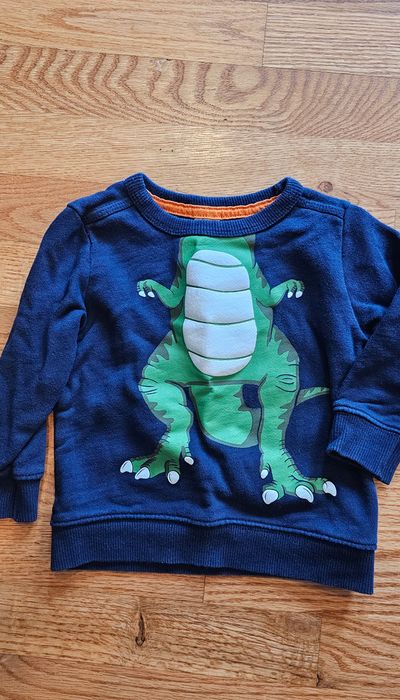 Carter's This fun T-Rex graphic sweatshirt is in excellent condition 18 Months