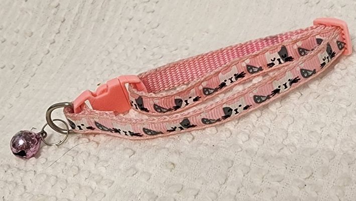 CAT COLLAR
