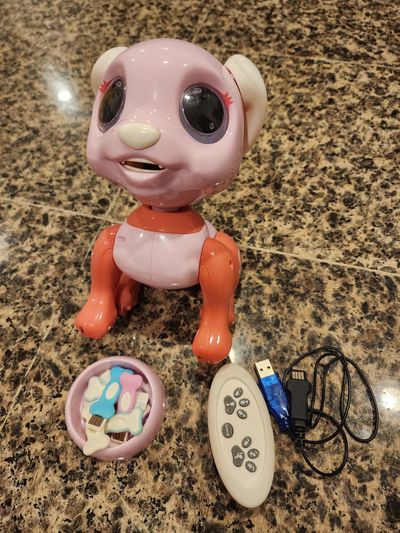Robo Smart Puppy Pinky interactive remote control robot dog toy