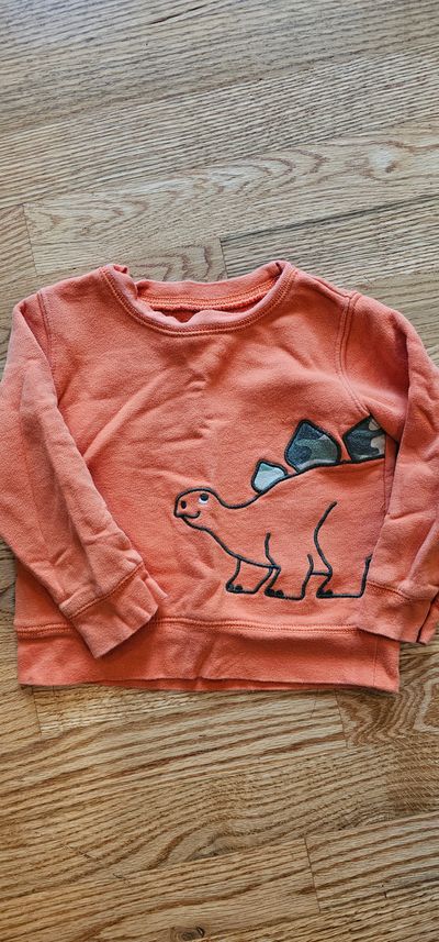 Carter's BNWOT sweat shirt made of soft cozy fabric with a comfortable fit 2T
