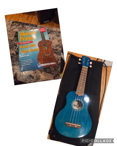 Ukulele, carrying bag, 2 picks and book