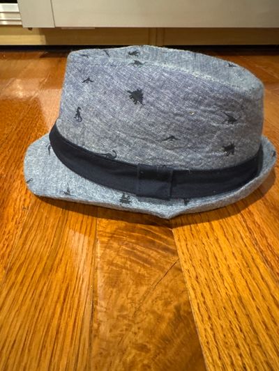 Target 2T-5T Dino stylish hat Toddler (2-4 yrs)