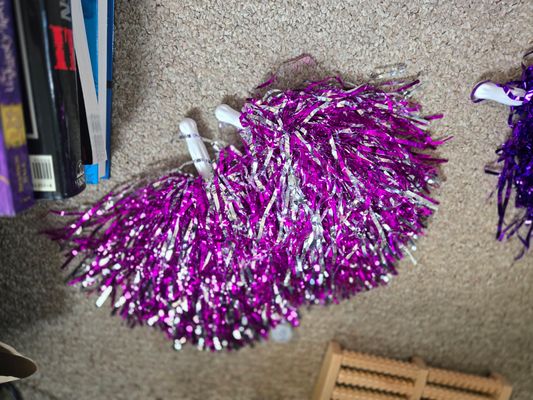 silver and purple pom poms