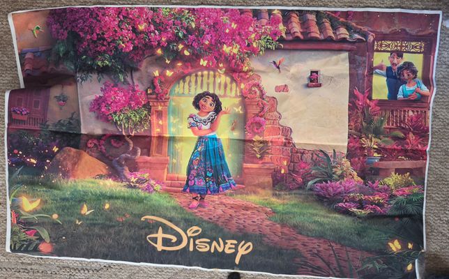 Disney Encanto Birthday Backdrop