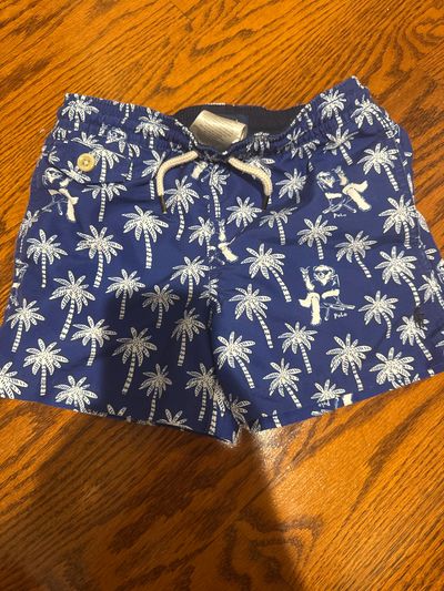 Polo Ralph Lauren Blue palm tree swim trunks lined 4T/4