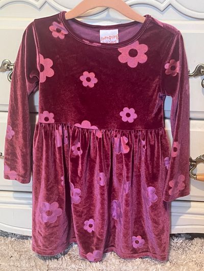 Jumping Beans velour long sleeve dress Excellent condition. SFPF home 2T