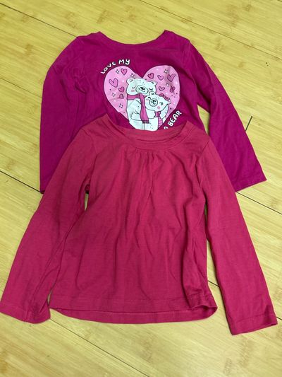Assorted Set of 2 pink long sleeve 2T