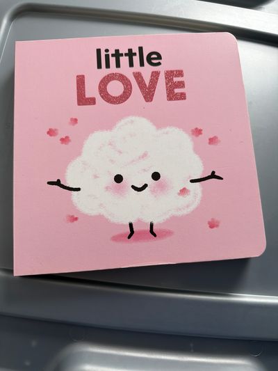 Never Read Little Love Board Book $8 retail
