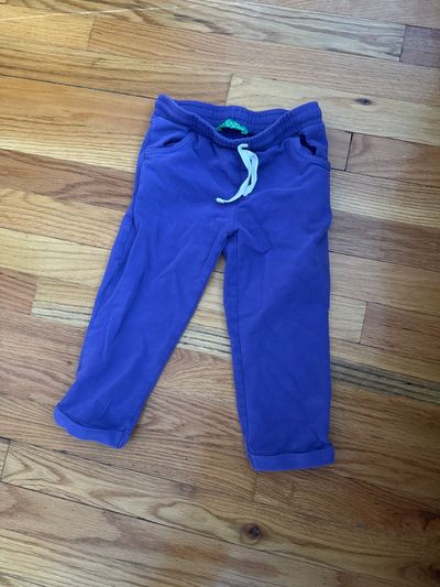 Cichlia Purple pants 24-36 months 24 Months