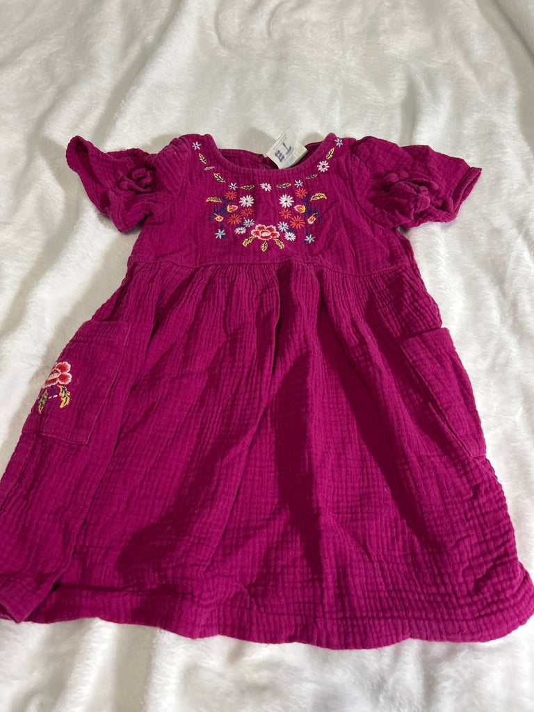 Genuine kids Magenta embroidered dress 2T